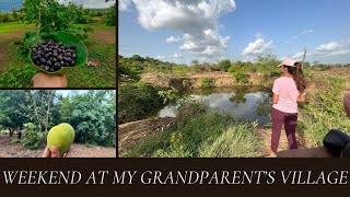 Spending Weekend at my grandparent’s village | Village Life | Season of Mangoes | Richa Patil