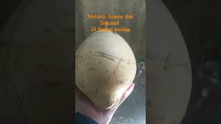 Melukis Arjuna dan Srikandi di kelapa kuning