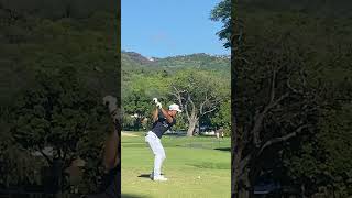 蝉川泰果プロ　スイング軌道　#shorts #golf