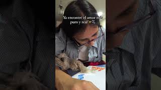 TIKTOK FRASES #trendingenshorts #cosasdechicas #petlover #girlythings #amor #quotesdaily #frasedodia