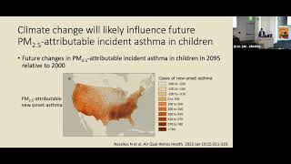 Precipitation, Pollen, and Pollution: How Our Environment Influences Childhood Respiratory Health