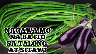 Nagawa mo na ba ito sa Talong At Sitaw ? Kung hindi pa panuurin mo ang vedio na ito