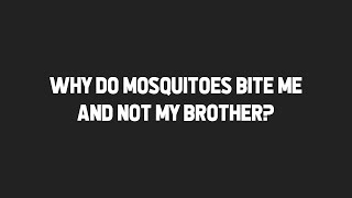 MQA S1 E8: Why do mosquitoes bite me and not my brother?