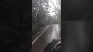 Drizling Drive || Journey in dense Jungle with heavy rain || Thriling and loveing