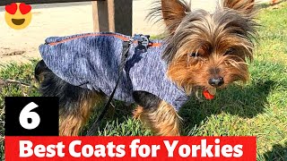 6 Best Coats for Yorkies