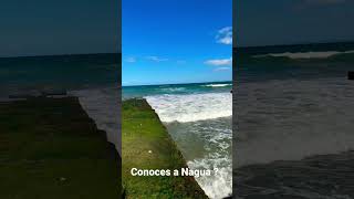 Conoces a nagua ? República Dominicana 🇩🇴 #dominicano