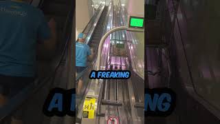 GROCERY CART ESCALATOR! You Won't Believe This!