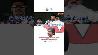 Pawan Kalyan vs Ys Jagan #pawankalyan #janasena #apnews #ysjagan #ysrcp #telugu #tdp #telugunews