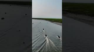 #Shorts Fishing on the Kenia River Alaska