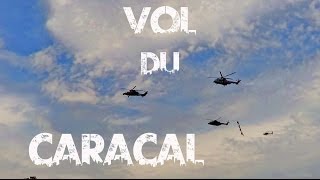 Vol du Caracal- Meeting de L'ALAT 2014