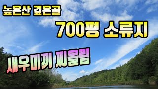 700평 소류지 수초새우대물낚시 찌올림