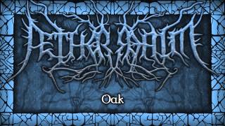 ÆTHER REALM - Oak