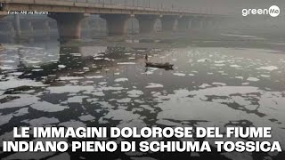 Le immagini dolorose del fiume indiano pieno di schiuma tossica