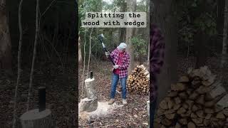 Splitting the wood 🪵 with wedge #woods #wood #diy #woodsplitting #splittingwood #wedge