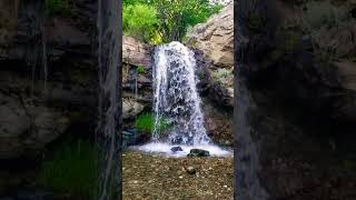 Waterfalls Relaxing Sounds #shorts #youtubeshorts #asmr