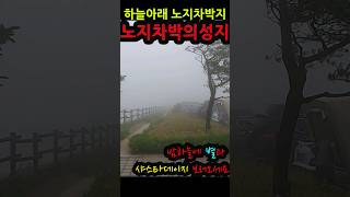 밤하늘에 별과 샤스타데이지 보러 빨리오슈~ #캠핑 #노지차박지 #차박지 #노지캠핑