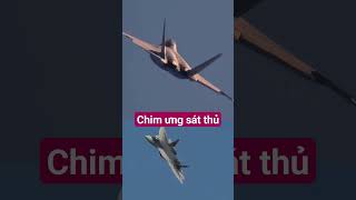 Chiến đấu cơ "Chim ưng sát thủ" SU 35 #f22 #su35 #shorts #shortvideo #shot