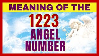 1223 Angel Number Meaning and Symbolism ✨💫