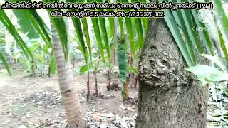 6 cent plot for sale near Chirayinkeezhu Railway Station (TVM) Ph - 62 35 370 382