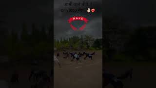 Army physical #army #agniveer #armytraining #ssc #1600 #1600meter #rajeacademysatara