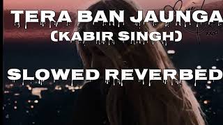 Tera Ban Jaunga (Slowed + Reverbed) | Kabir Singh |