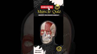 99% People can't answer this question|| anatomy muscles quiz ||anatomy quiz muscles | #3dmusclesquiz