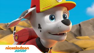 PAW Patrol : La Pat' Patrouille | Les sauvetages de volcans | Missions sous-marines | Nickelodeon Jr