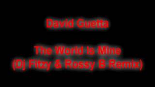 David Guetta - The World Is Mine (Dj Fitzy & Rossy B Remix)