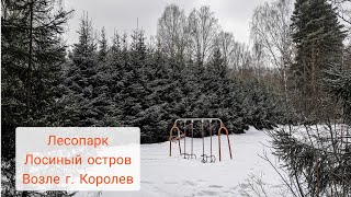 Лесопарк Лосиный остров возле Королева