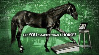 Muhamed the Mathematical Horse | Tales From the Bottle