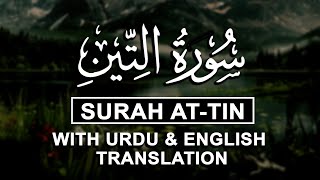 Surah At-Tin With Urdu Translation | سورة التين | Beautiful Quran Recitation | Full Quran Tilawat