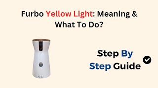 Furbo Yellow Light: Meaning & What To Do?