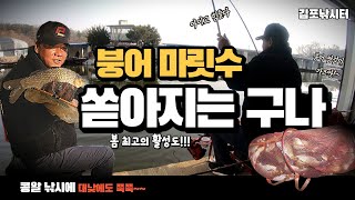 [낚시 왔구나2] 떡밥 콩알낚시에 동 틀때부터 소나기 붕어 입질!!_김포낚시터 붕어낚시