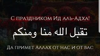 Поздравление канала Salam America с праздником Ид Аль-Адха . Курбан байрам 2020.