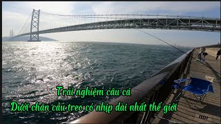 Trải nghiệm Câu Cá ở chân Cầu Treo có Nhịp dài Nhất thế giới và cái kết | GDCT | Câu Cá ở Nhật