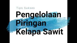 Pengelolaan Piringan Kelapa Sawit - Tips Sukses