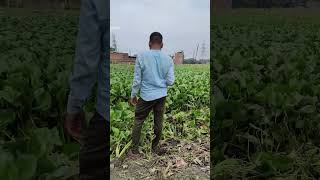 मछली पकड़ने में NIKLA 😳पत्थरचट्टा | FISH murder #fishing #shorts #trending #video