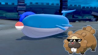 Wailord no over here...yeah over...no ov...yea...no ov...yeah...no..yeah