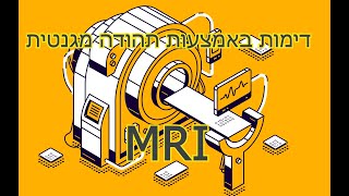 דימות באמצעות תהודה מגנטית - MRI