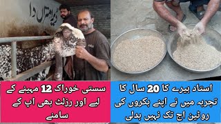 وہ کون سی خوراک ہے جو 12 مہینے بکروں کو دے سکتے ہیں  What food can be given to goats for 12 months?