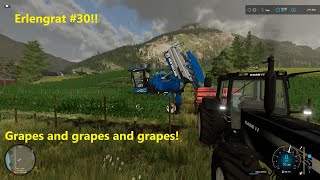 FS22 | Harvesting GRAPES! | ERLENGRAT #30 | Alpine Dairy Farm