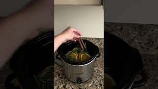 Slow Cooker Fall Simmer Pot Recipe | Blain's Farm & Fleet