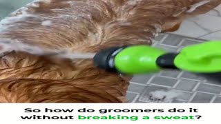 🦁I don need to go to the groomer now thanks to this dog shower sprayer.. 🦁 barkermeow