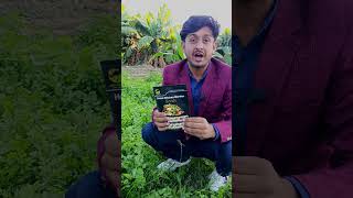 How to Grow vegetables at home. Pak and India machines