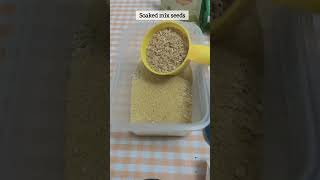 soaked mix seeds #shorts #birds#parrot#cockatiel #mixseeds#healthyfood #diy #pets