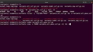 subset vcf by sample names | bcftools view tutorial