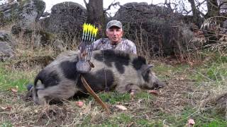 Stalking Bacon Canyon-- Exciting Traditional Bow Hunt For Wild Boar