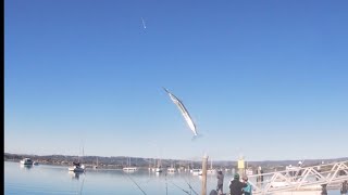 Fishing at Omokoroa