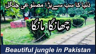 Changa Manga Forest Pakistan/ History in Changa Manga forest.bigest forest.