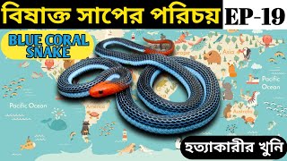 বিষাক্ত সাপের পরিচয় | Identification of Venomous Snakes | EP-19 | #Bluecoralsnake